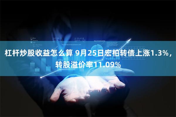 杠杆炒股收益怎么算 9月25日宏柏转债上涨1.3%，转股溢价率11.09%