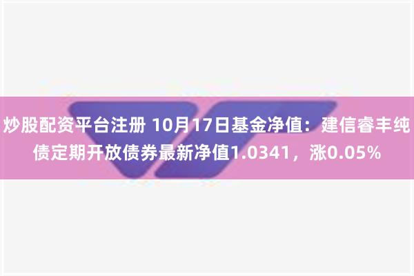 炒股配资平台注册 10月17日基金净值：建信睿丰纯债定期开放债券最新净值1.0341，涨0.05%