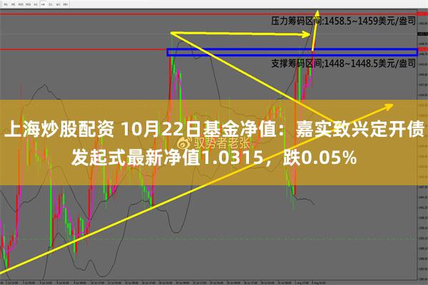 上海炒股配资 10月22日基金净值：嘉实致兴定开债发起式最新净值1.0315，跌0.05%