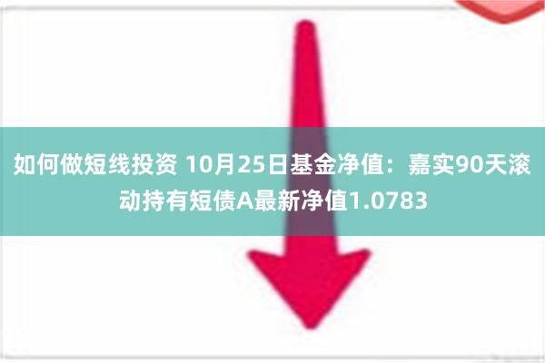 如何做短线投资 10月25日基金净值：嘉实90天滚动持有短债A最新净值1.0783