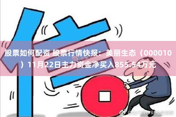 股票如何配资 股票行情快报：美丽生态（000010）11月22日主力资金净买入855.54万元