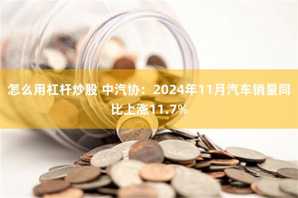 怎么用杠杆炒股 中汽协：2024年11月汽车销量同比上涨11.7%