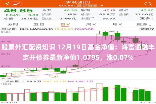 股票外汇配资知识 12月19日基金净值：海富通融丰定开债券最新净值1.0795，涨0.07%