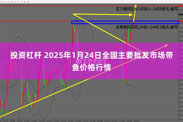 投资杠杆 2025年1月24日全国主要批发市场带鱼价格行情