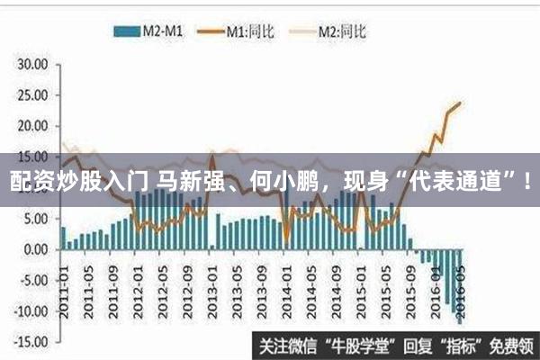 配资炒股入门 马新强、何小鹏，现身“代表通道”！